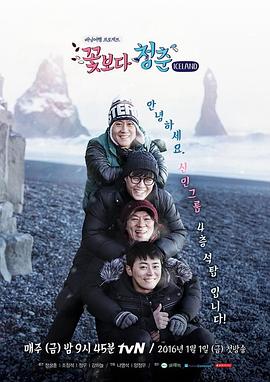 花样青春： 冰岛篇封面图