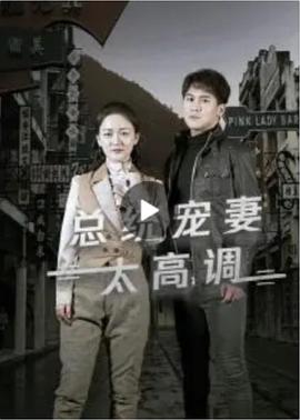 总统宠妻太高调封面图