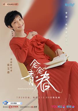 念念青春封面图