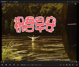 祝君早安封面图