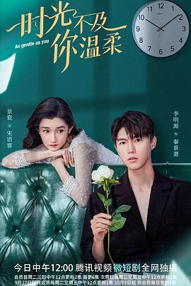 时光不及你温柔封面图