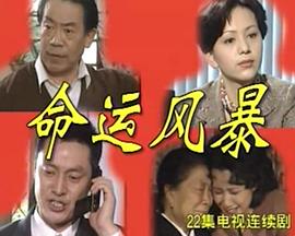 命运风暴封面图