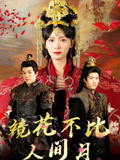 镜花不比人间月封面图
