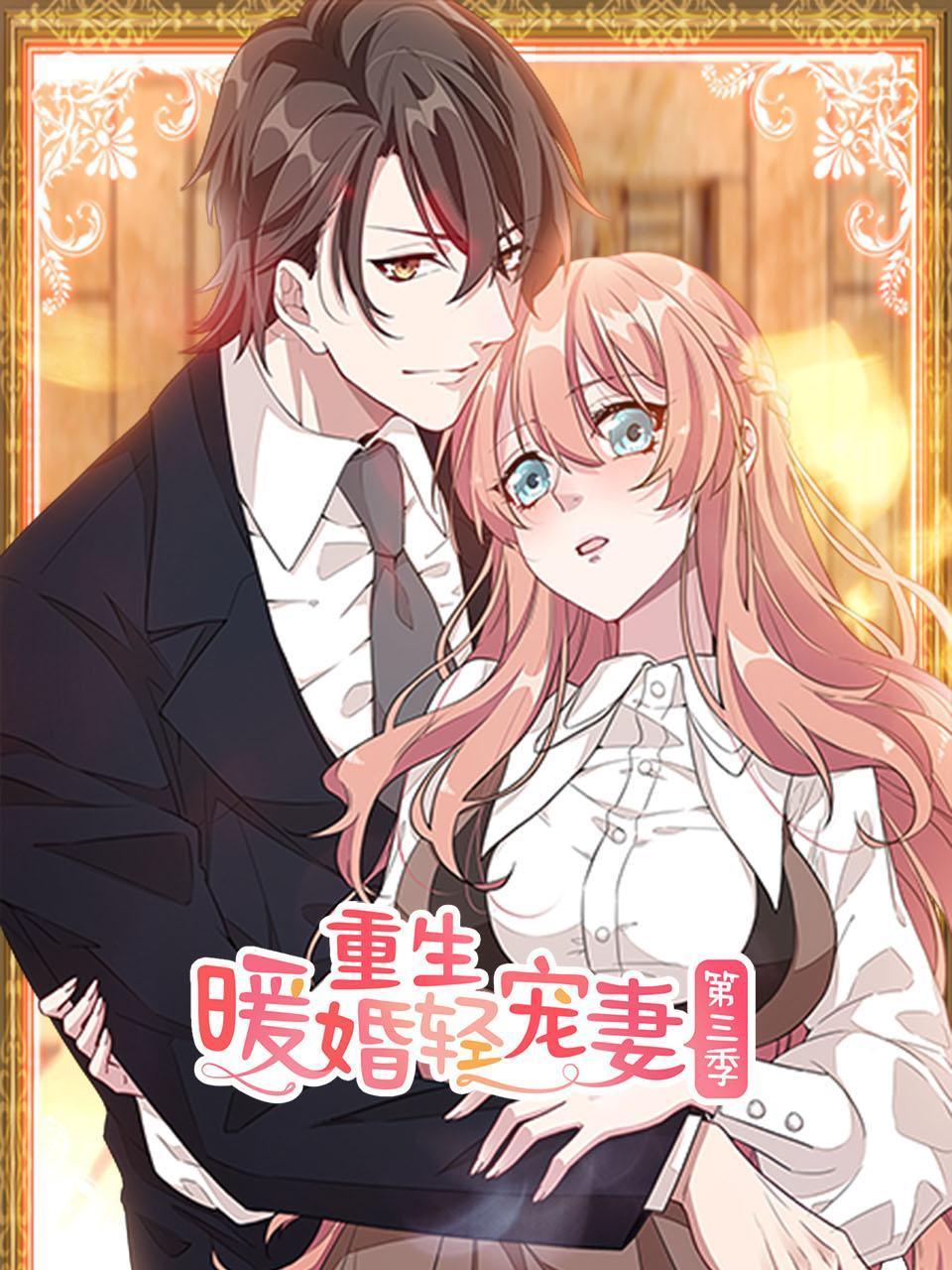 重生暖婚轻宠妻第三季封面图