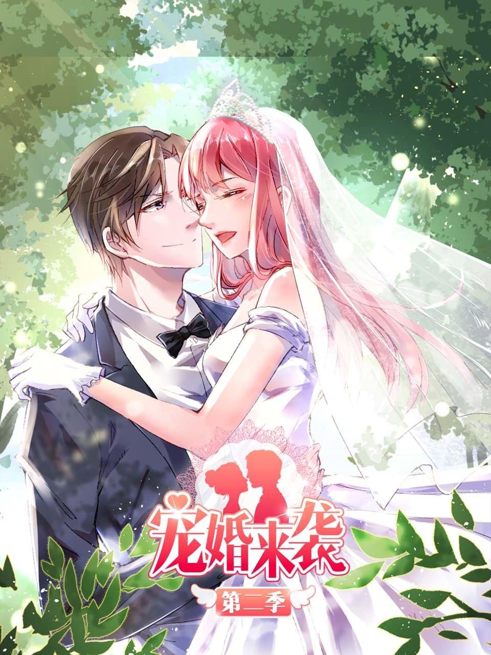 宠婚来袭第二季封面图