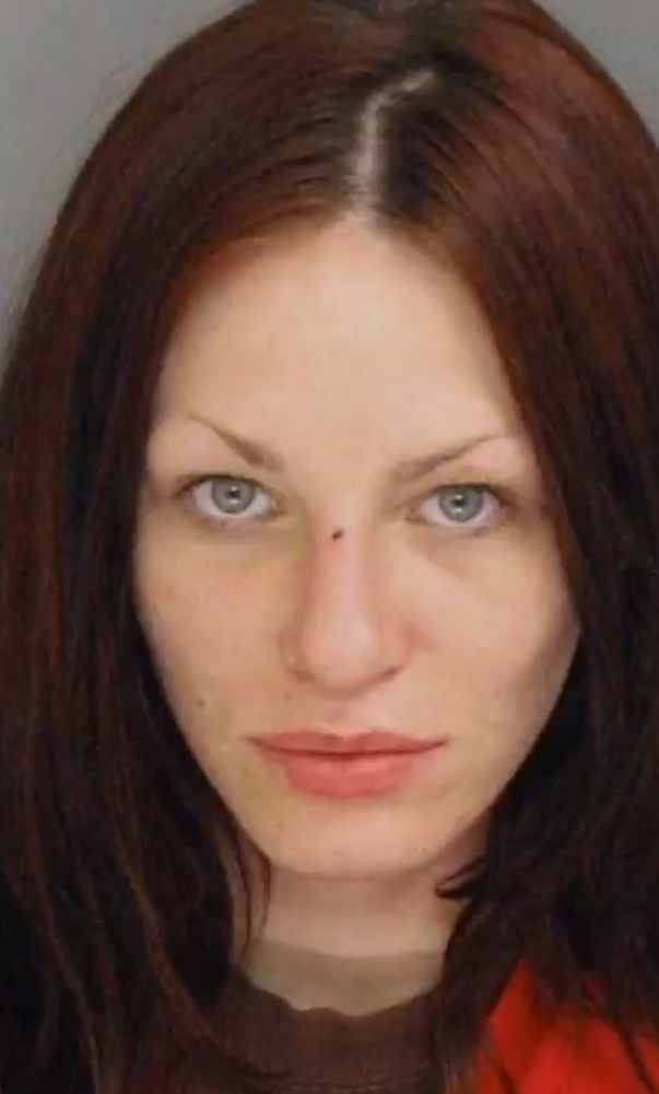 科技老兄谋杀案封面图