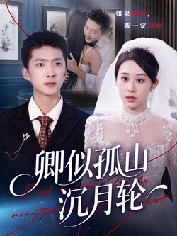 卿似孤山沉月轮封面图