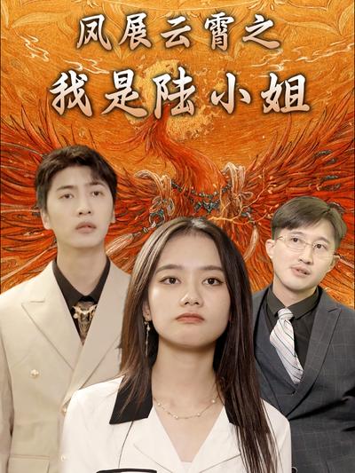 凤展云霄之我是陆小姐封面图