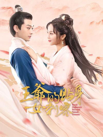 王爷的贴身女刺客封面图