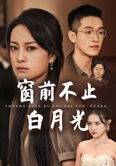 窗前不止白月光封面图