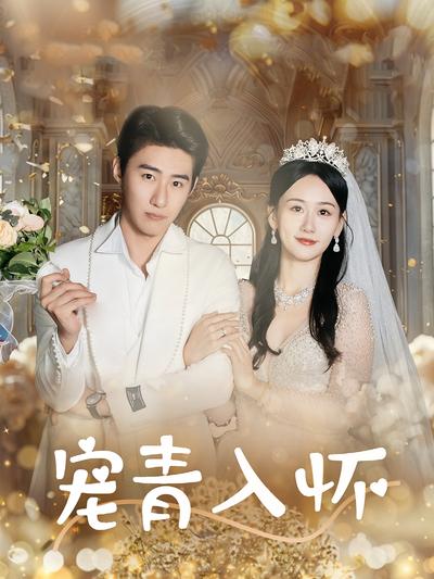 宠青入怀封面图