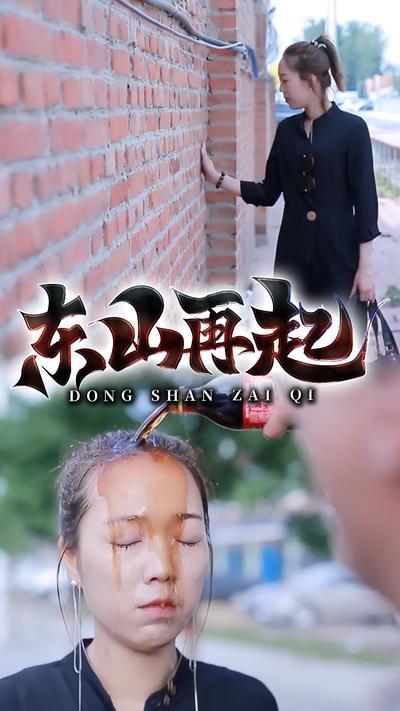 东山再起2封面图