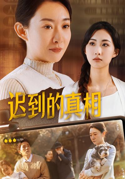 迟到的真相封面图