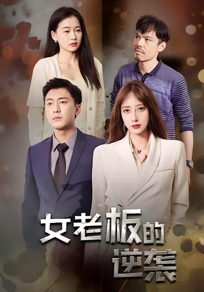 女老板的逆袭封面图