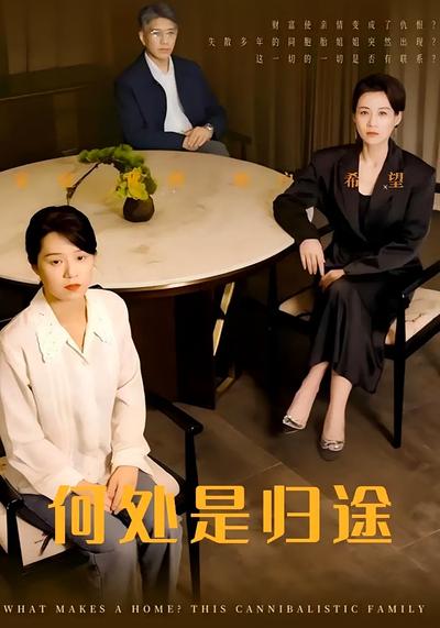 何处是归途封面图