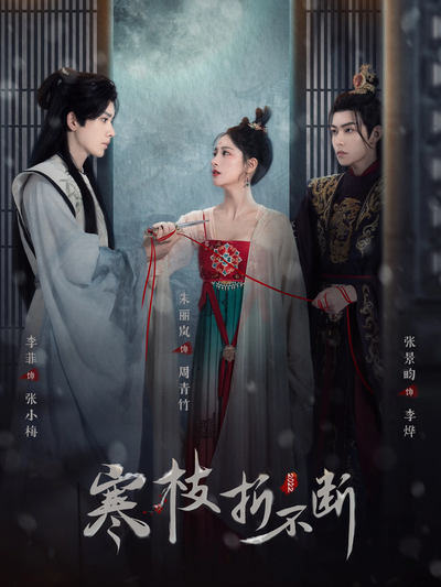 寒枝折不断封面图