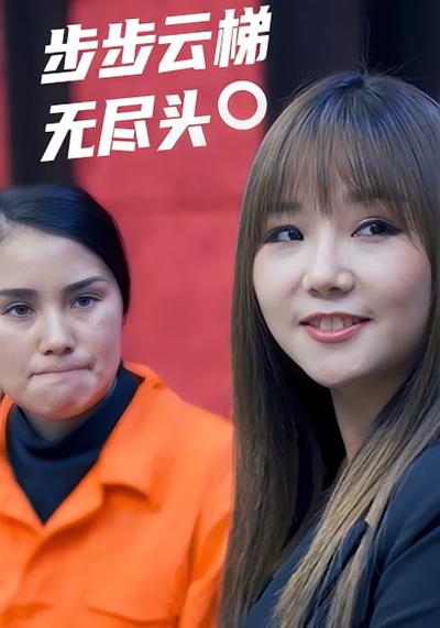 步步云梯无尽头封面图