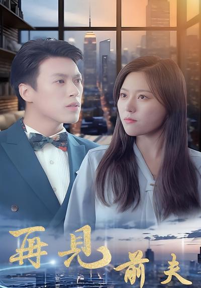 再见前夫封面图