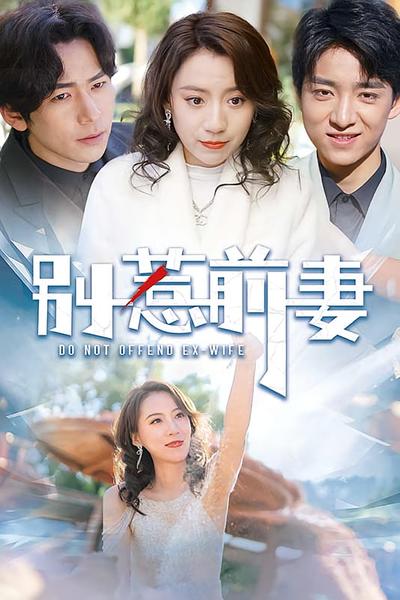 别惹前妻封面图