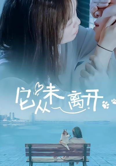 它从未离开封面图