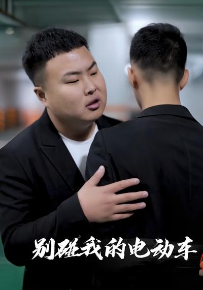 别碰我的电动车封面图