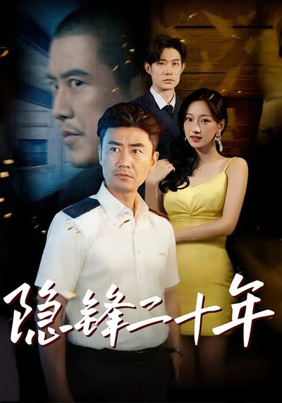 隐锋二十年封面图