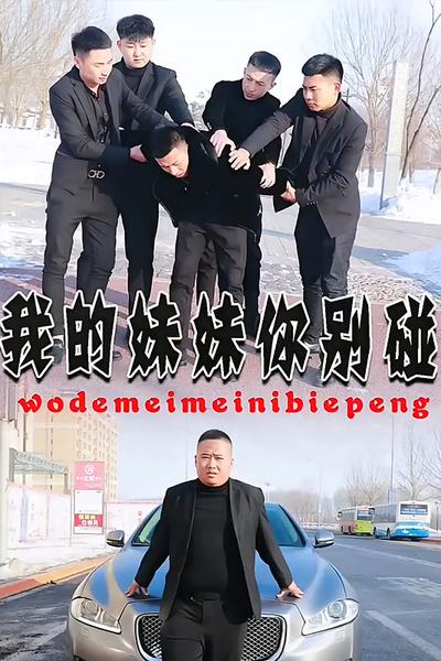 我的妹妹你别碰封面图