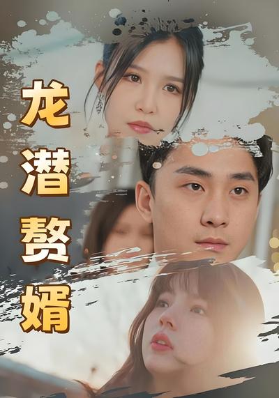 龙潜赘婿封面图