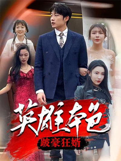 英雄本色跛豪狂婿封面图