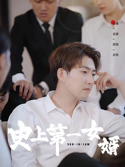 史上第一女婿封面图