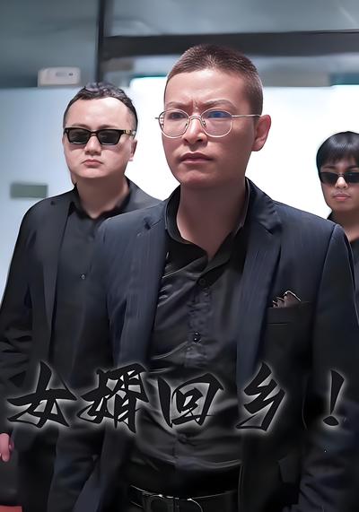 女婿回乡！封面图