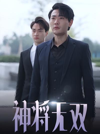 神将无双封面图