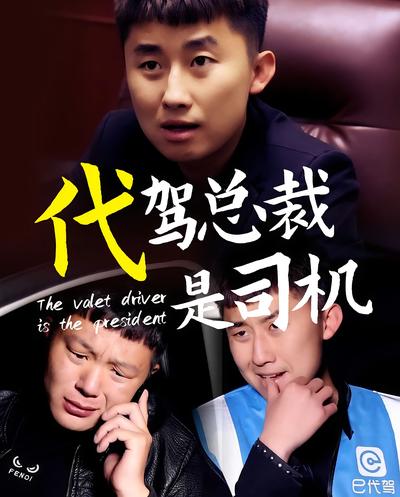 代驾司机是总裁