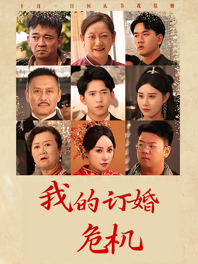 我的订婚危机封面图