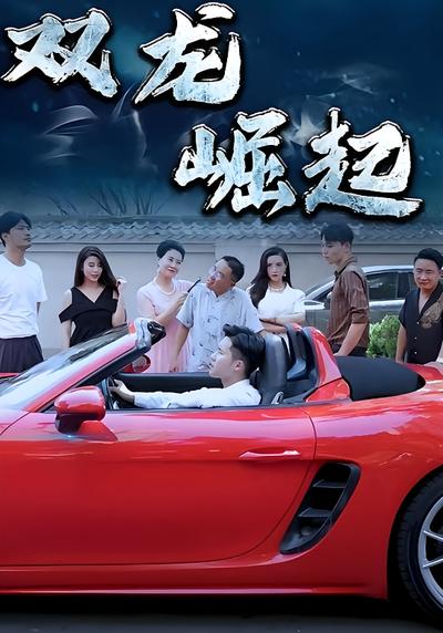 双龙崛起封面图