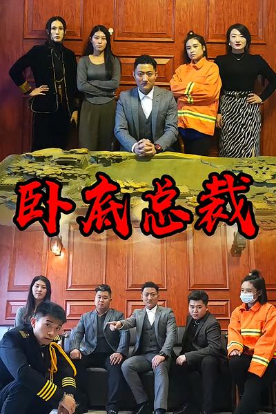 卧底总裁封面图