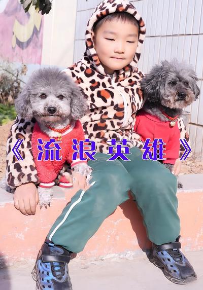 流浪英雄封面图