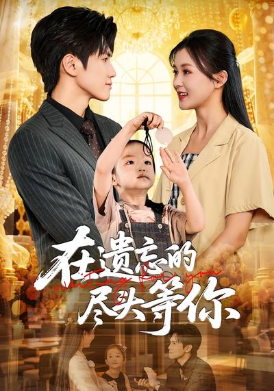 在遗忘的尽头等你封面图