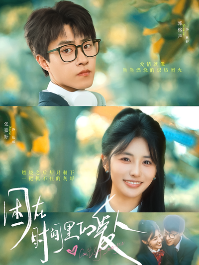 困在时间里的爱人封面图