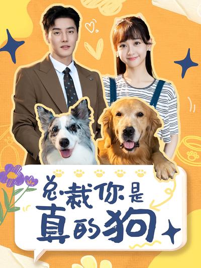总裁你是真的狗封面图