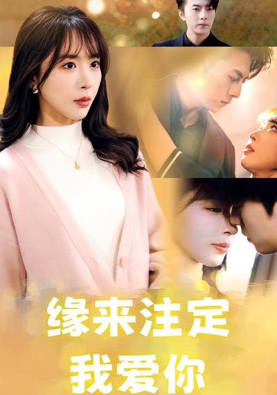 缘来注定我爱你封面图