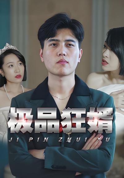 极品狂婿封面图