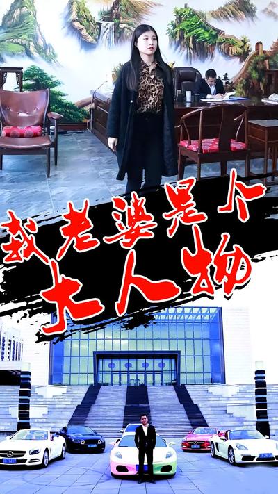 我老婆是个大人物封面图