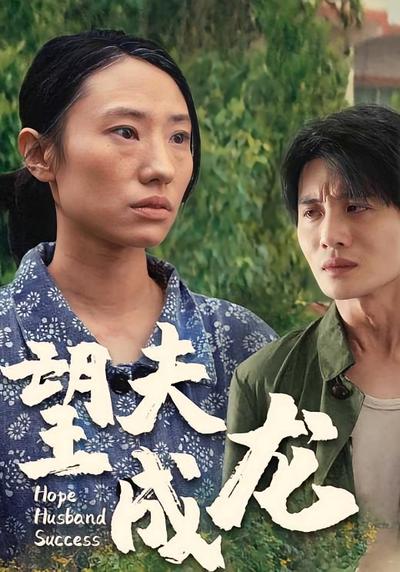 望夫成龙封面图