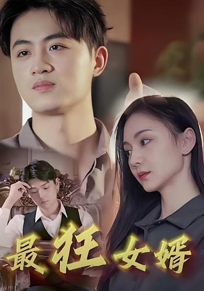 最狂女婿封面图