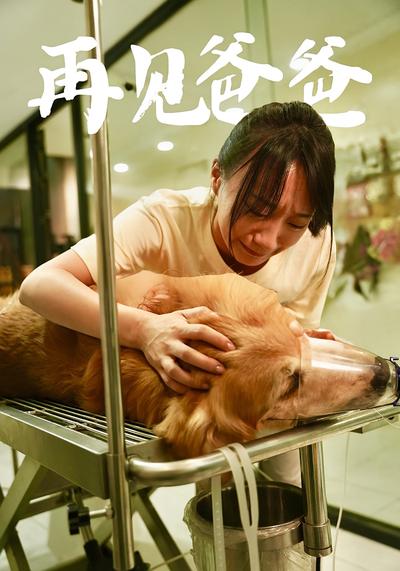 再见爸爸封面图