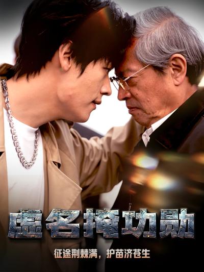 虚名掩功勋封面图