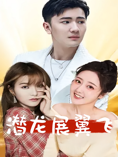 潜龙展翼飞封面图