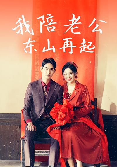 我陪老公东山再起封面图