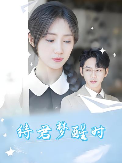 待君梦醒时封面图